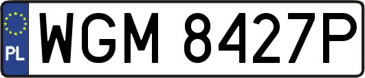 WGM8427P