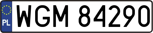 WGM84290