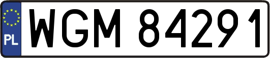 WGM84291