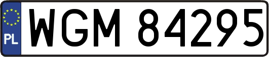 WGM84295
