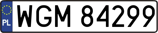 WGM84299