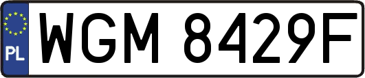 WGM8429F
