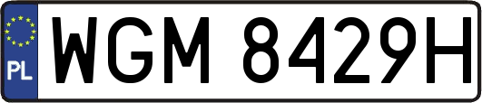 WGM8429H
