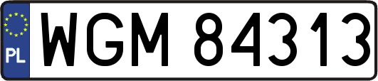 WGM84313