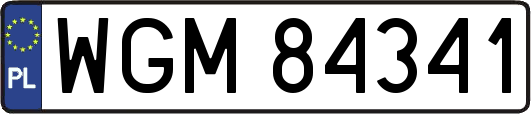 WGM84341