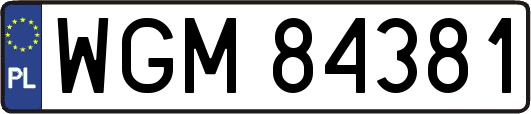 WGM84381