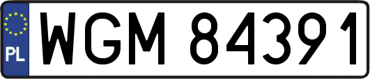 WGM84391