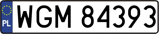 WGM84393