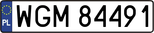 WGM84491