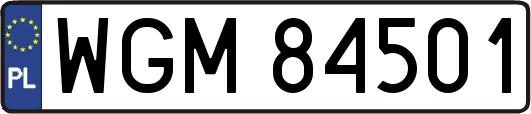WGM84501