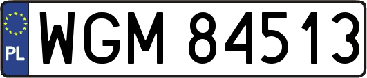 WGM84513