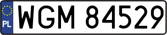 WGM84529