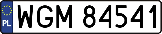 WGM84541