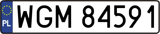 WGM84591