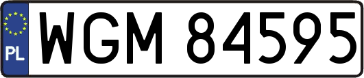 WGM84595
