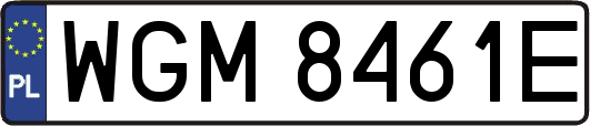 WGM8461E