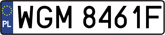 WGM8461F