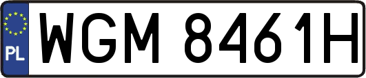 WGM8461H