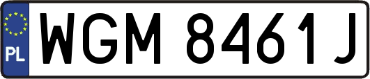 WGM8461J