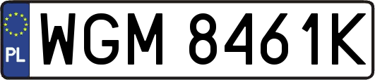 WGM8461K