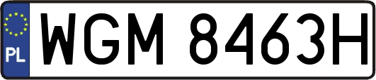 WGM8463H