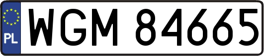 WGM84665