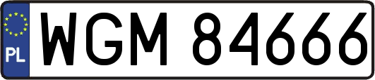 WGM84666
