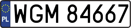 WGM84667