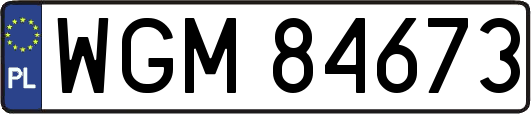 WGM84673