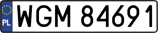 WGM84691