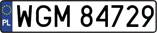 WGM84729