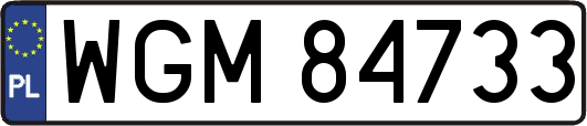 WGM84733