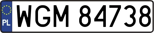 WGM84738