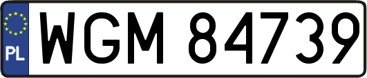 WGM84739
