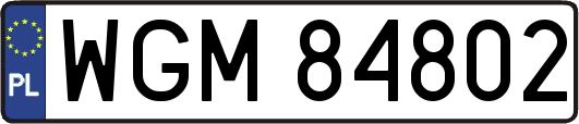 WGM84802