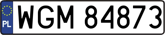 WGM84873