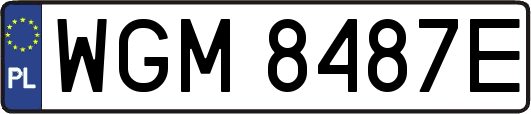 WGM8487E