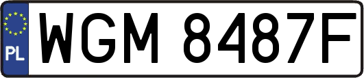 WGM8487F