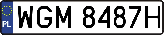 WGM8487H