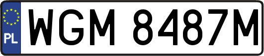 WGM8487M