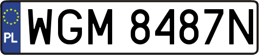 WGM8487N