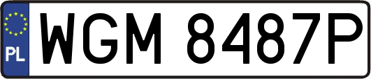 WGM8487P