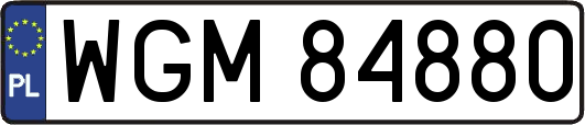 WGM84880