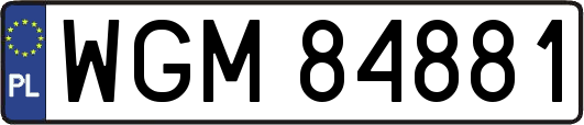 WGM84881