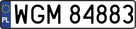 WGM84883