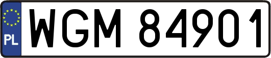 WGM84901