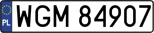 WGM84907