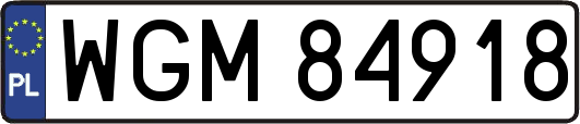 WGM84918