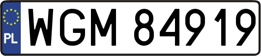 WGM84919