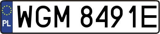 WGM8491E